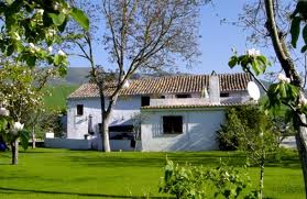 We offer the following property sales services; Sales promotion of properties on behalf of vendors, Sale and Purchase services covering the entire legal process, Sales of our own property developments, Property search on behalf of clients looking to buy.